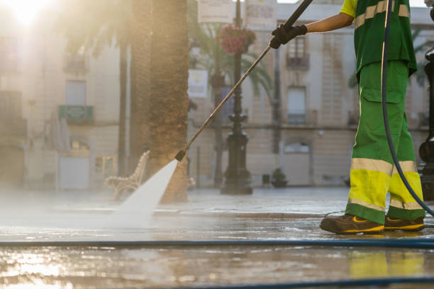 Best Roof Power Washing Services  in Lepanto, AR